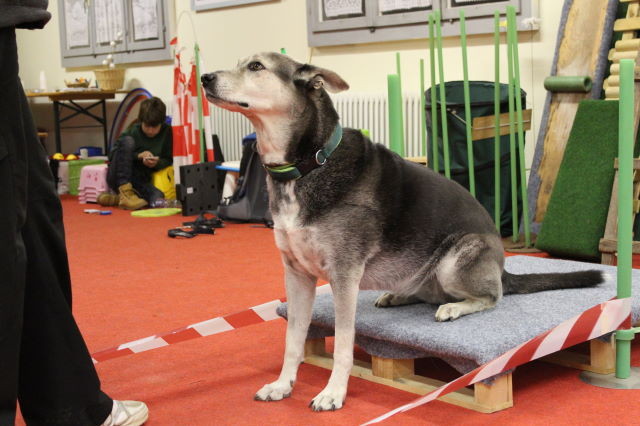 in kleinen Schritten zum Ziel