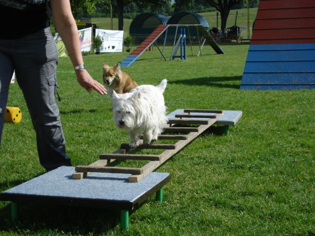 Bobby geht über die Leiter