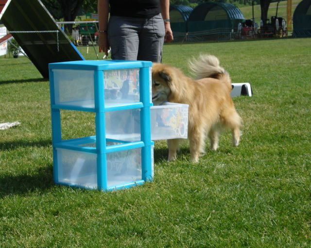 Spielzeug versorgen - Schublade schliessen