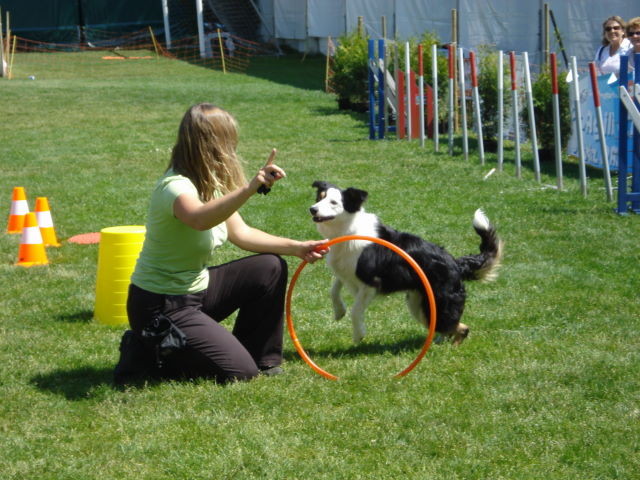 Sprung über den Reifen