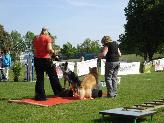 Tuvra und Nasca auf der Rolle