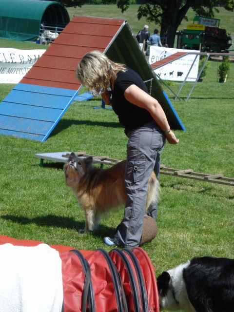 rückwärts auf die Rolle