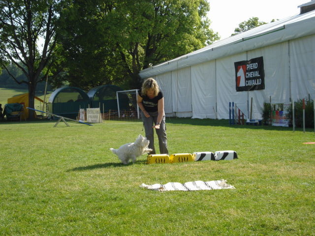 kleiner Hund ganz gross :-))