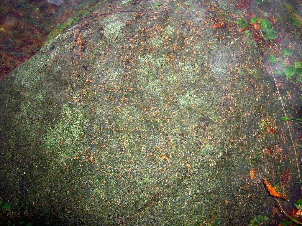 Der Russenstein im Hohwald