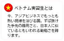 ベトナム実習生とは今、アジアビジネスでもっとも熱い視線を浴びる国。ずば抜けた手先の器用さと、日本人に似ているともいわれる勤勉さを誇ります。