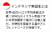 ミャンマー実習生とは日本語の上達スピードが速く入国前にN4を取得している人も多くいます。素直で親日的ですので来日後はますます日本語が上達します。