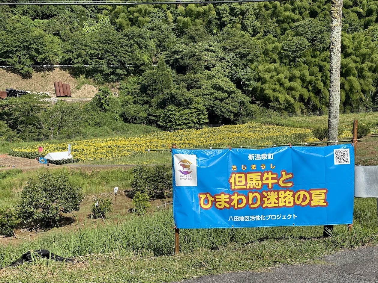 思考の言語化能力低下予防のためにも…