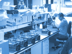 Mitarbeiter montiert elektronische Baugruppe am Arbeitsplatz