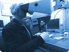 Mitarbeiterin inspiziert elektronische Baugruppe unter Stereo-Mikroskop