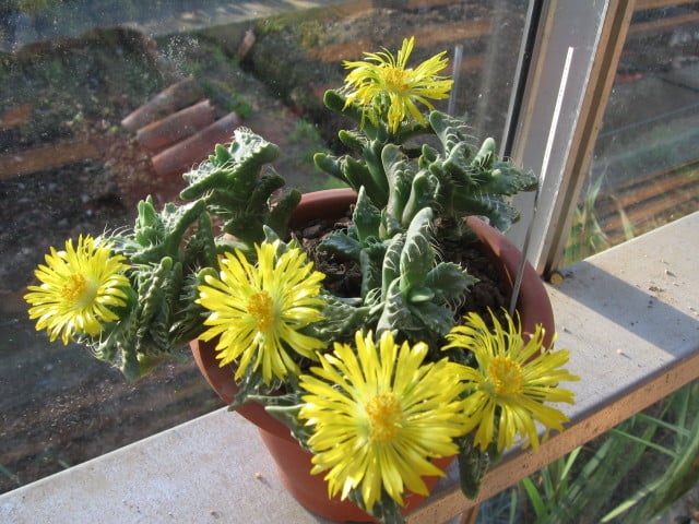 réf:10-1 Photo prise le 22-11-2009