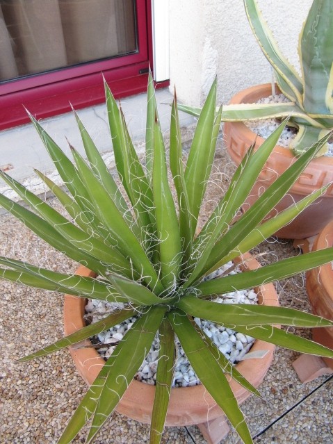 Réf: 3.1 Photo prise le 06-09-2012