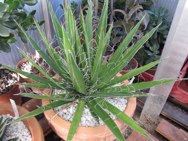 Réf: 3.1 Photo prise le 01-11-2011