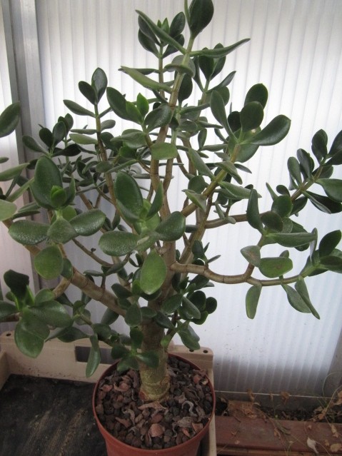 réf:1530-2 Photo prise le 14-10-2012