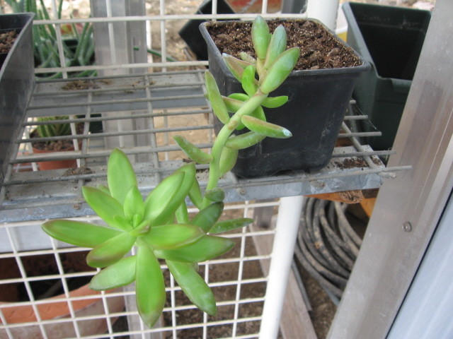 réf:1574-1  photo prise le 11-10-2009