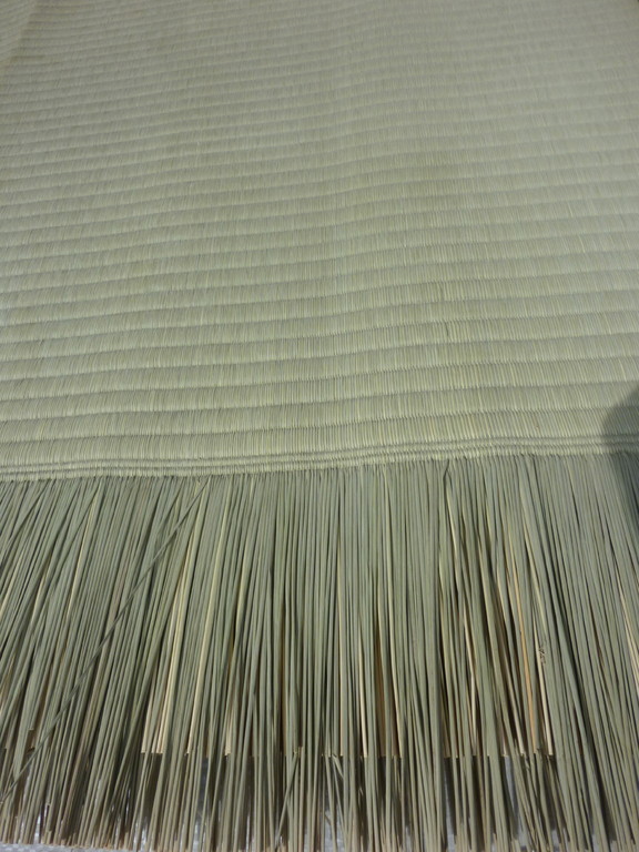 熊本県八代産ひのみどり