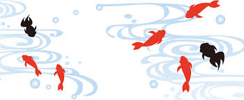 半年間を振り返って