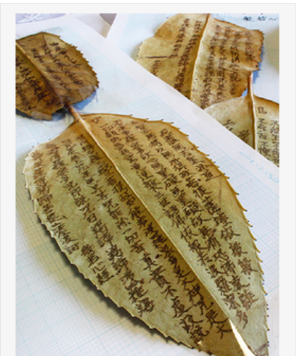 ～nature開設6周年～