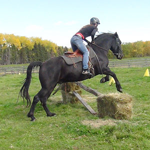 Canadian Hay Ranch,  horse jumping