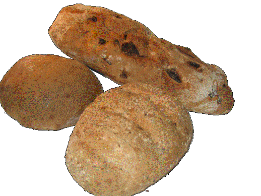 Sesam Walnuss Zwiebel