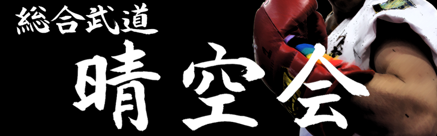小倉空手道場・総合武道晴空会・空手道・小太刀道チャンバラ 硬式空手　群馬県　伊勢崎市　高崎市　前橋市　太田市　玉村町　いじめ問題
