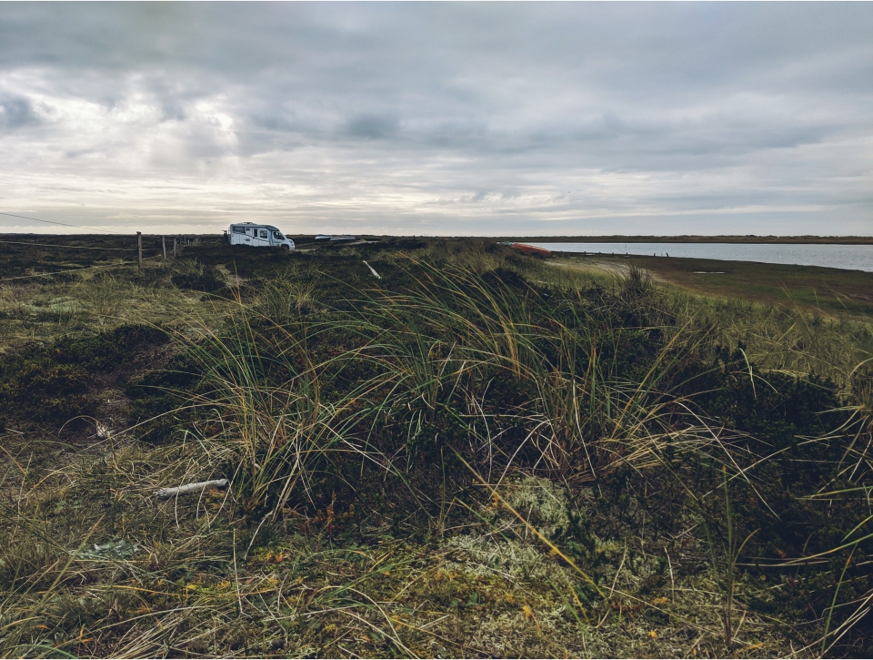 Stellplatz fürs Mittagessen