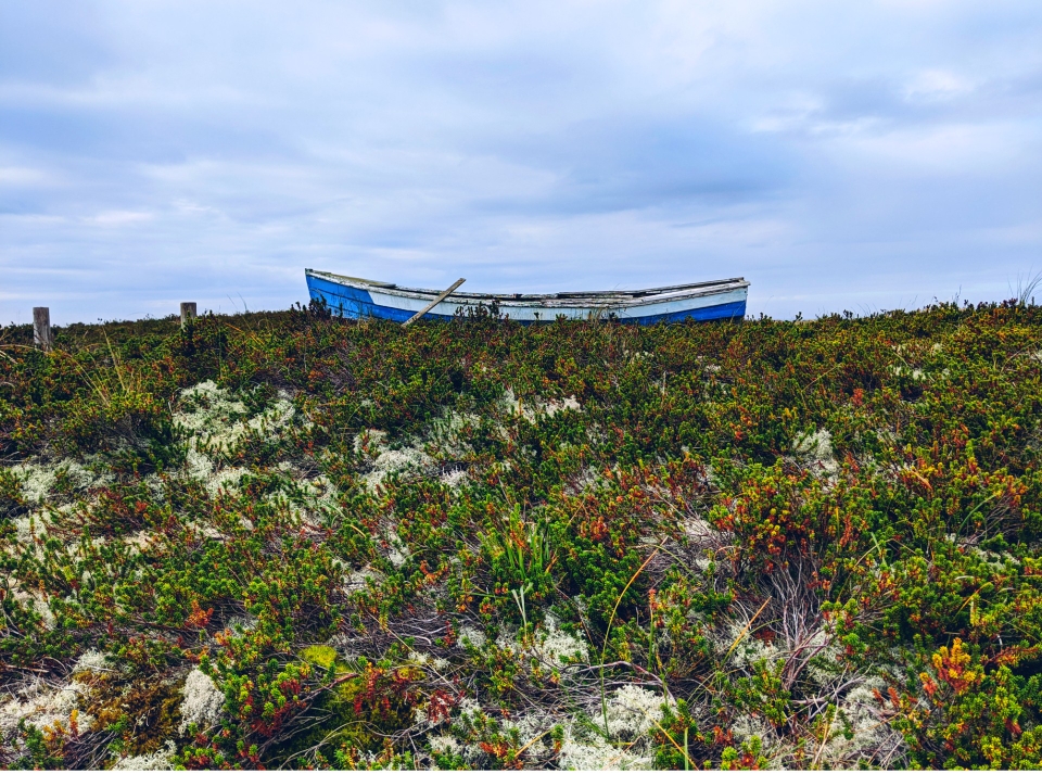Bereit für die nächste Fahrt