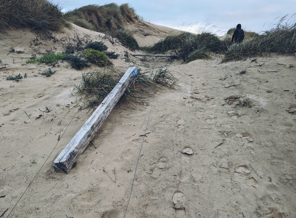 Die Wegweiser halten den Wetterbedingungen nicht stand