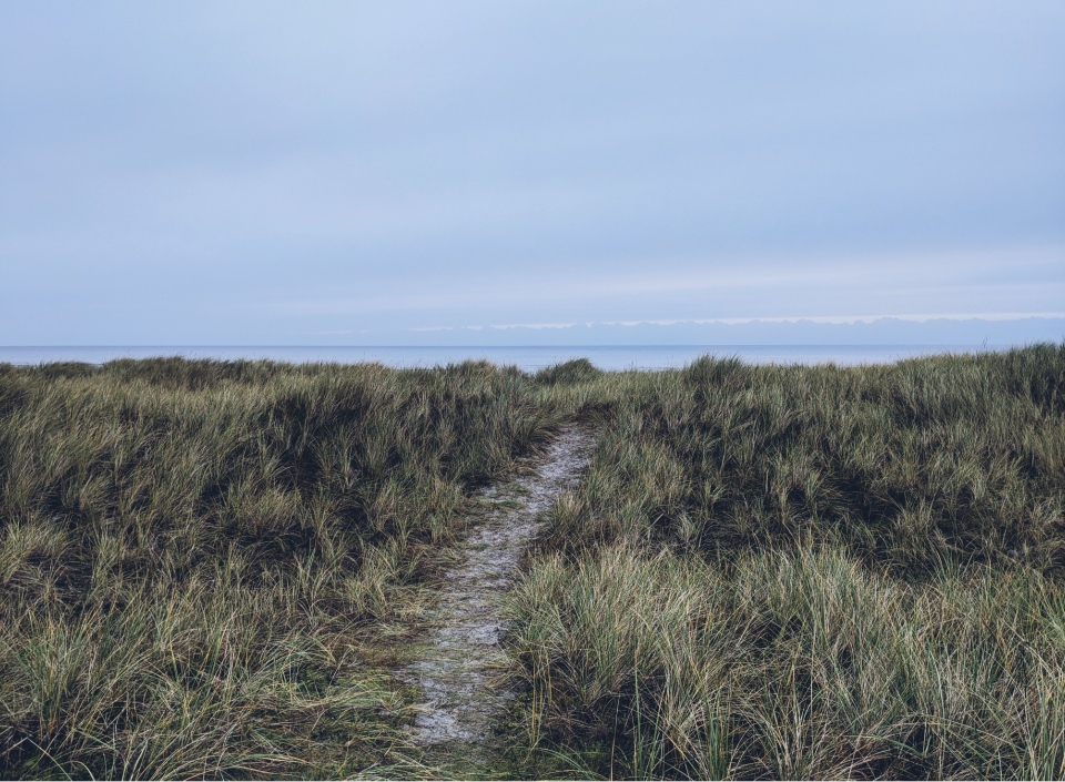 Morgendliche Wanderung