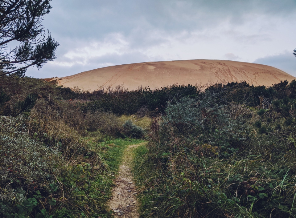 Plötzlich ragt der Sandberg empor