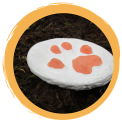 Tierspuren aus Gips gießen