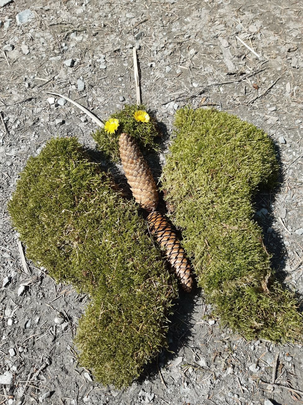 Ein Schmetterling aus Naturmaterialien