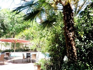 ホテルの敷地内。物凄くオシャレでした！