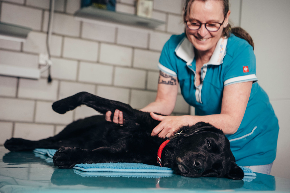 Foto: Bildschmiede.ch