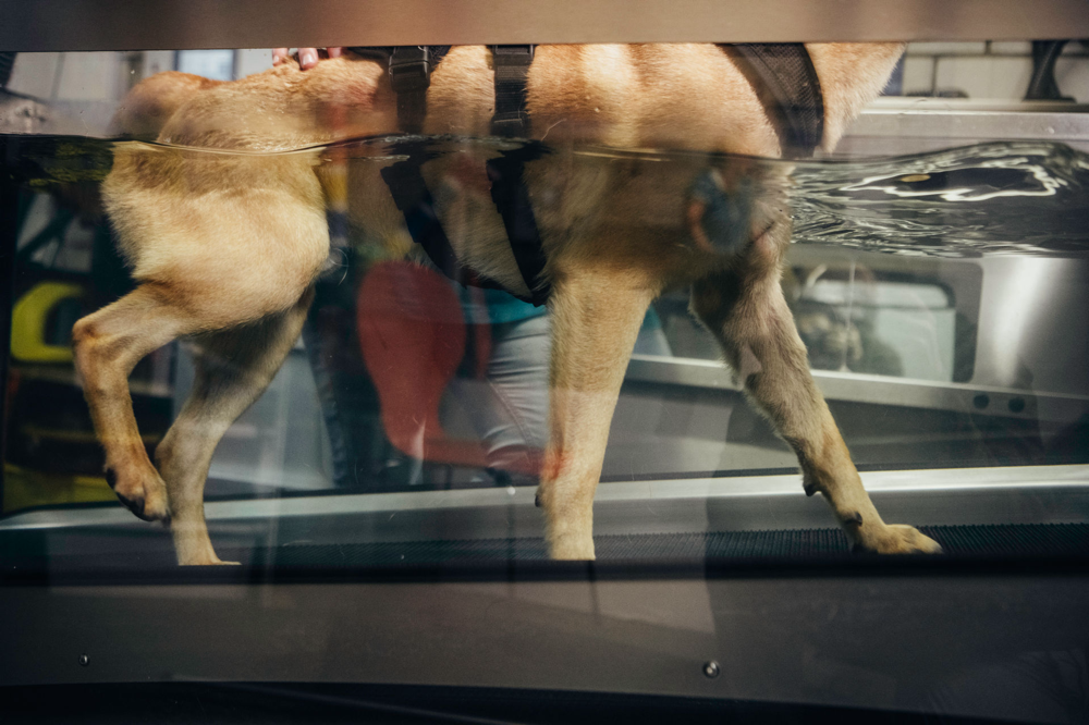 Foto: Bildschmiede.ch