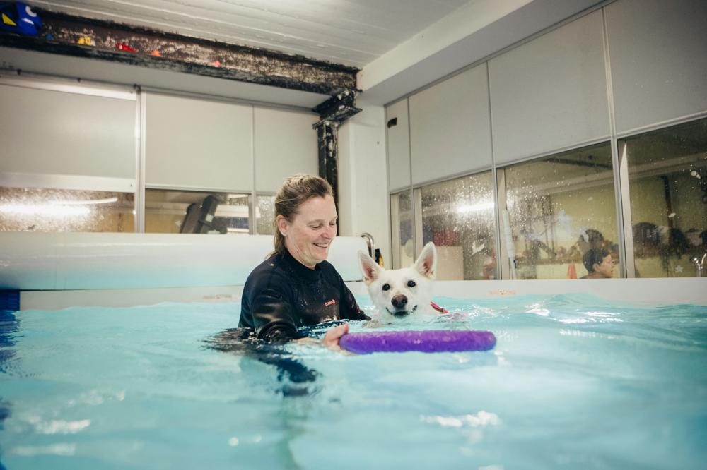 Foto: Bildschmiede.ch