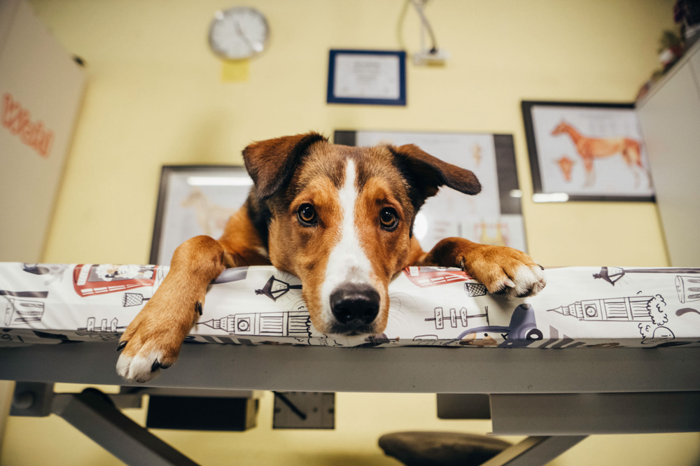 Foto: Bildschmiede.ch