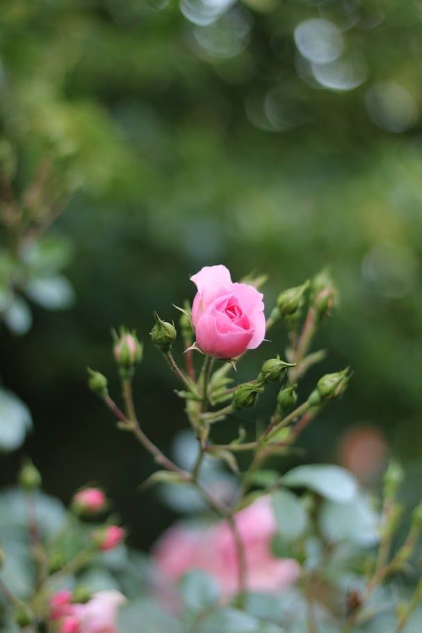 Unklare Körpersymptome, Schwere, Müdigkeit - und die momentane Zeitqualität
