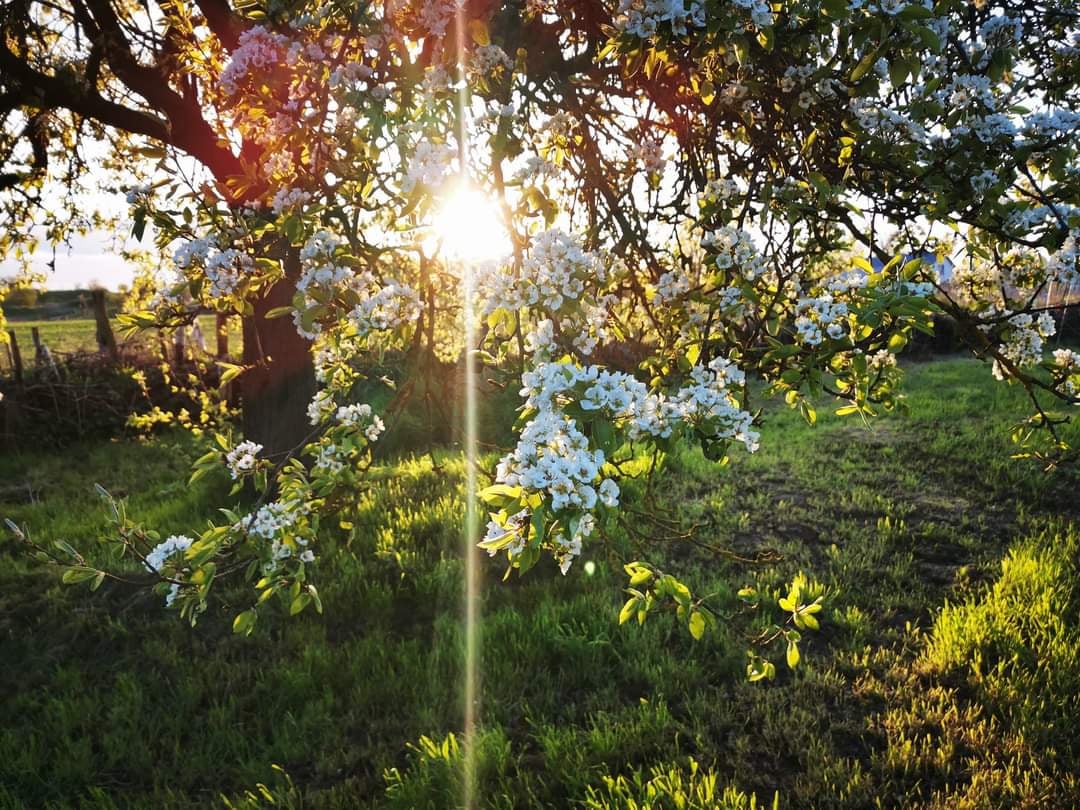Was ist mit Deinem inneren Schatten, wenn Du mit Menschen arbeitest?