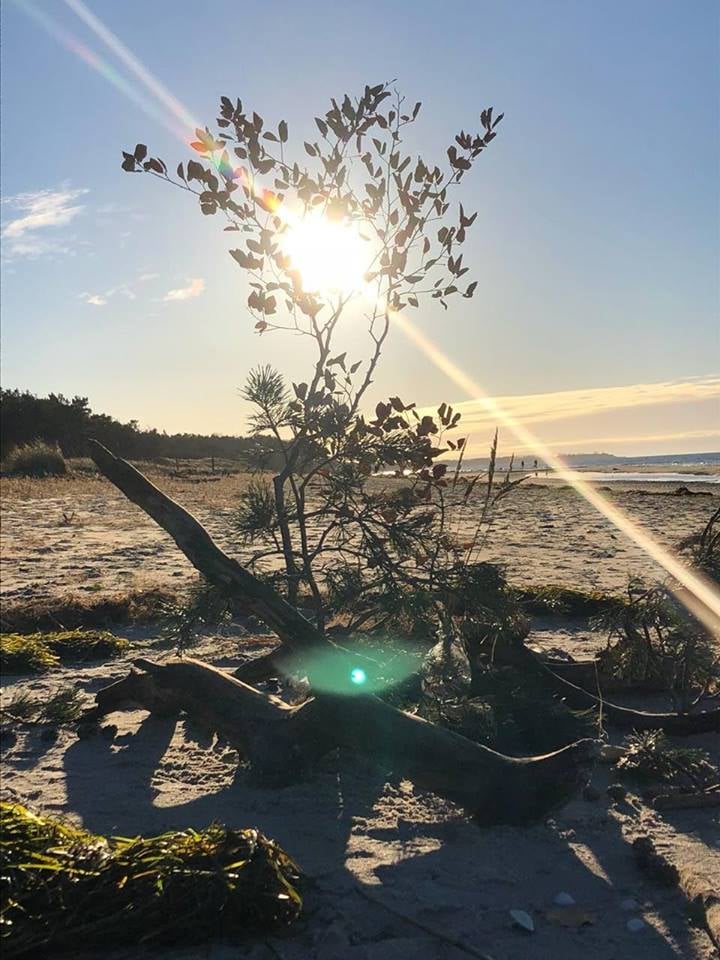 Cosmic-Co-Creation: Verbundensein mit Allen und Allem