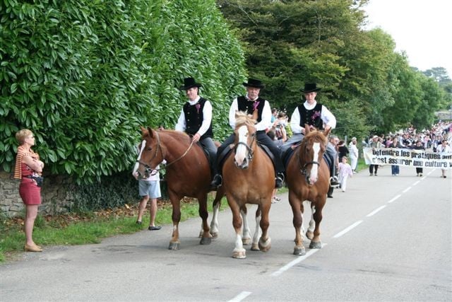 Cavaliers de la Noce