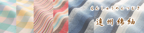 遠州綿紬（えんしゅうめんつむぎ）