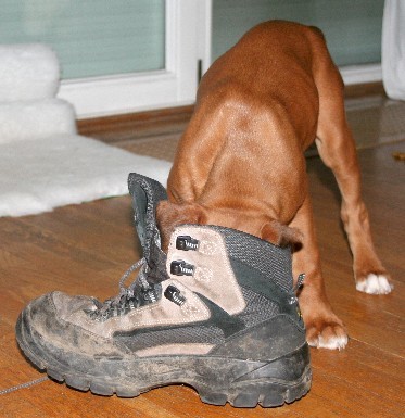 Upps - Depressionen ???