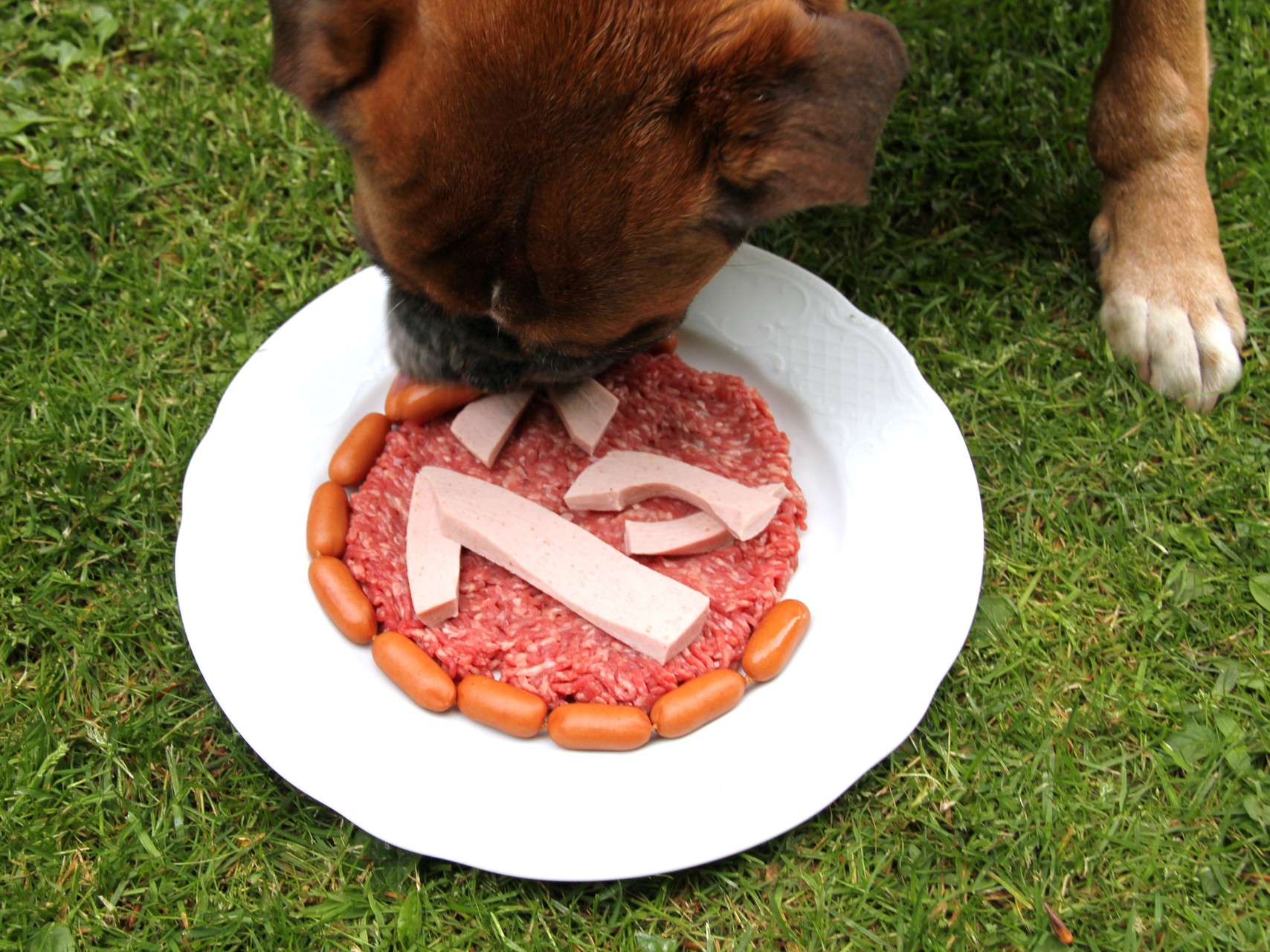 die Geburtstagstorte :)