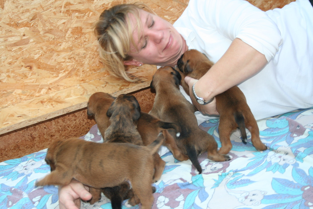 kuscheln - fressen - toben - was will man mehr ?