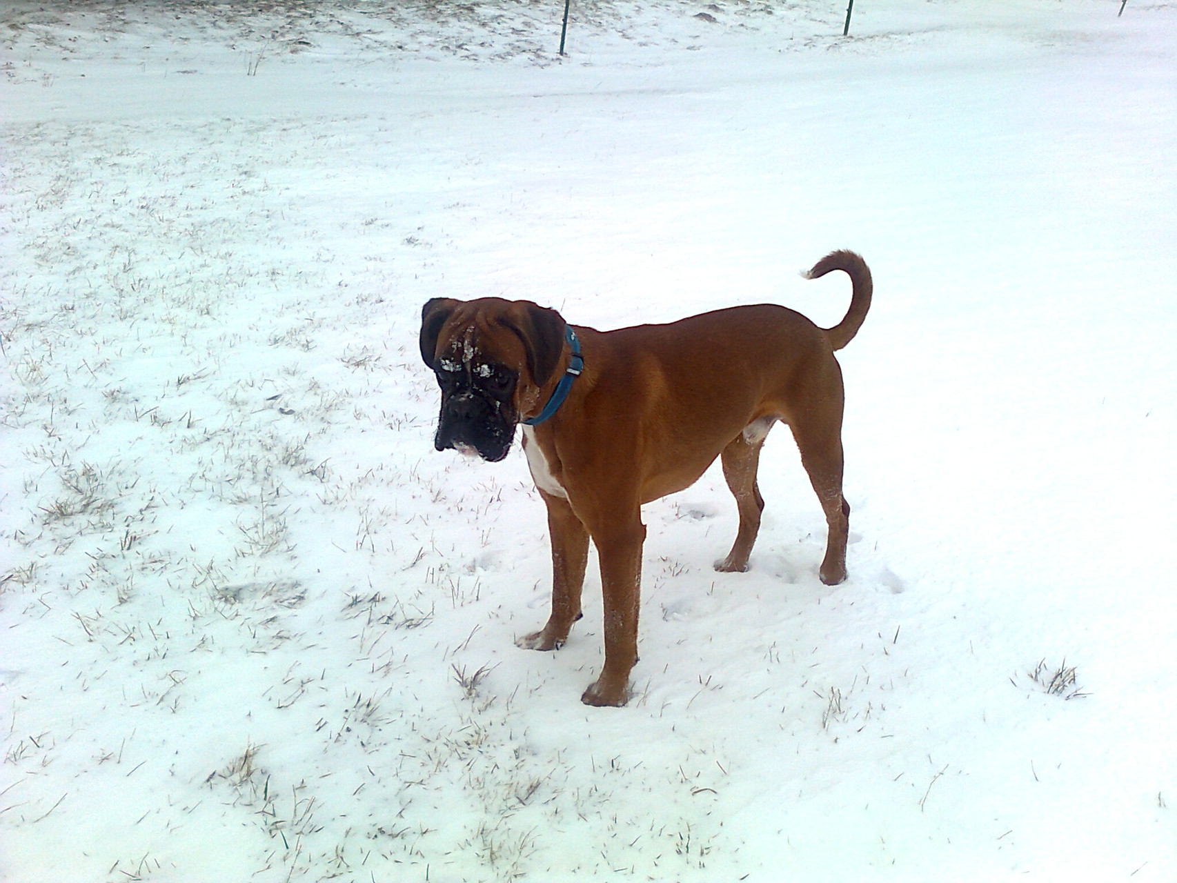 Egbert - 8 Monate alt