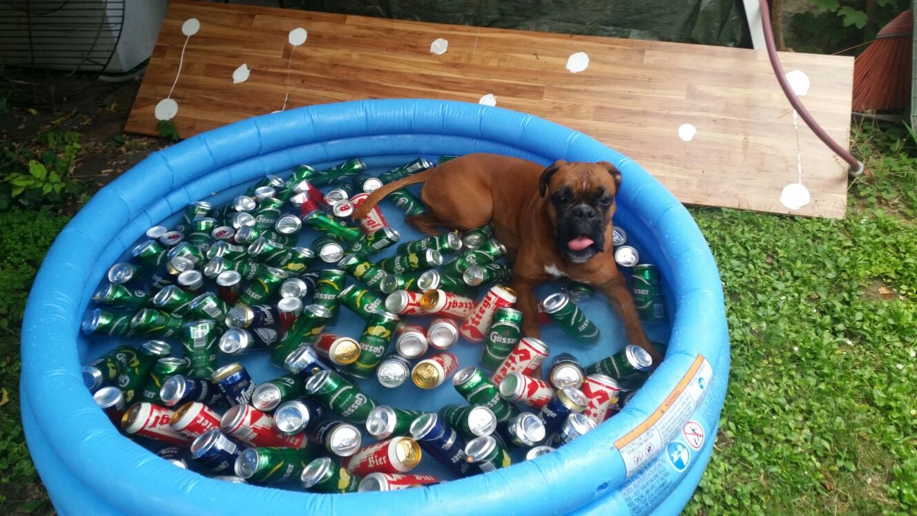 D`Sansa: Ehrlich ... es ist nicht so wie es aussieht :) 