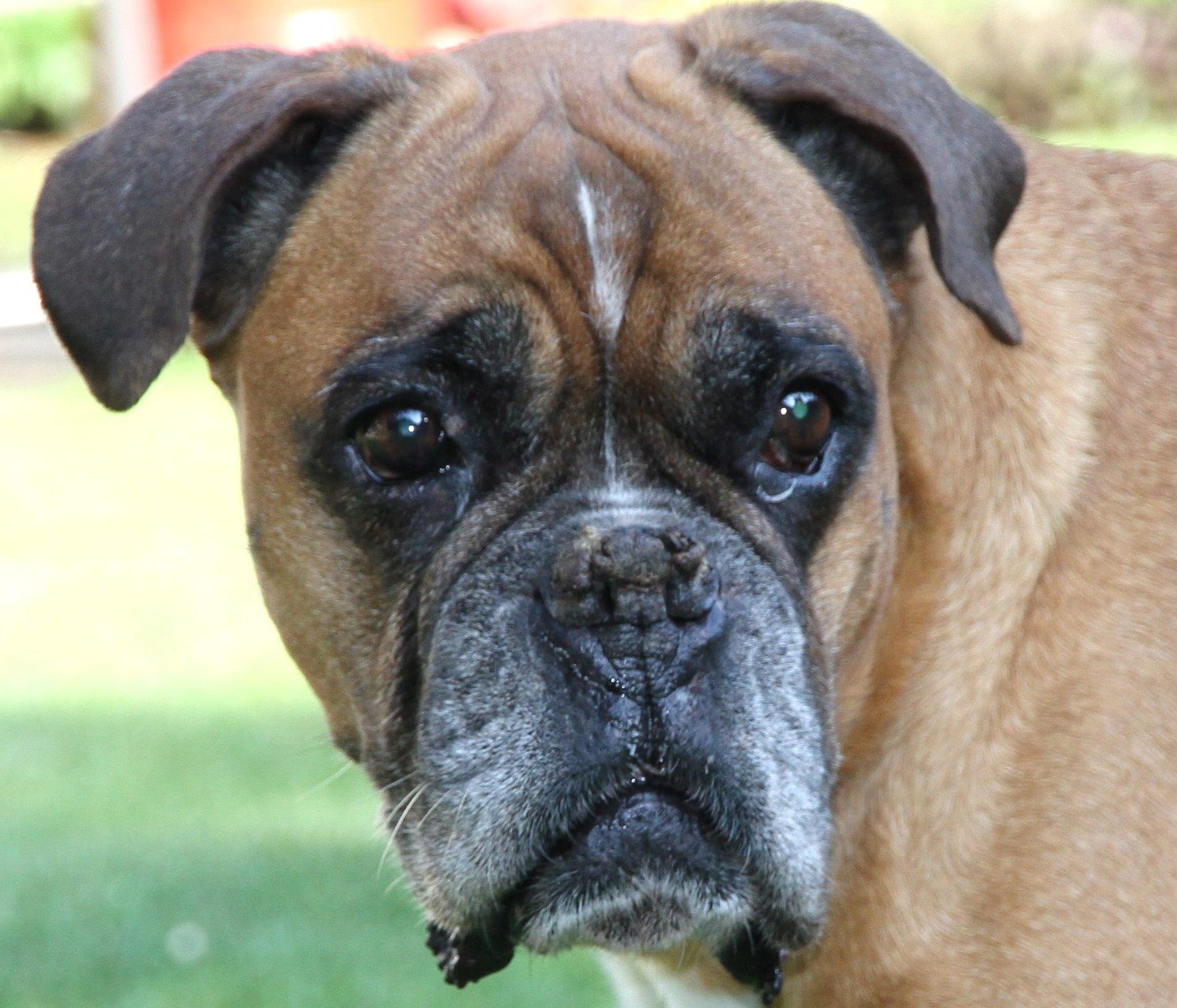 meine Süße 13 Jahre alt