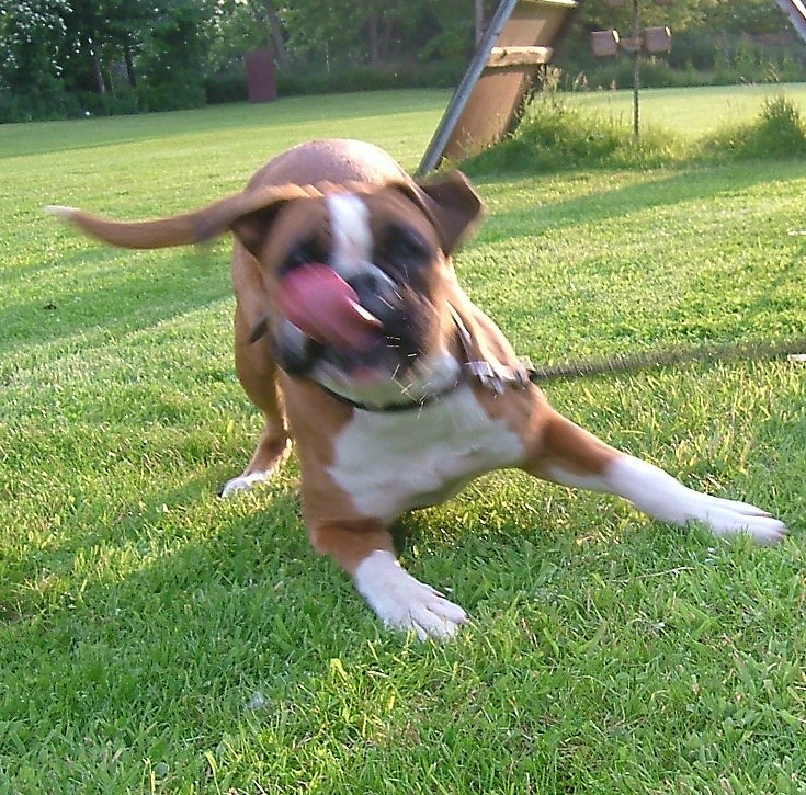 Alette - und einmal durchs Gesicht ♥