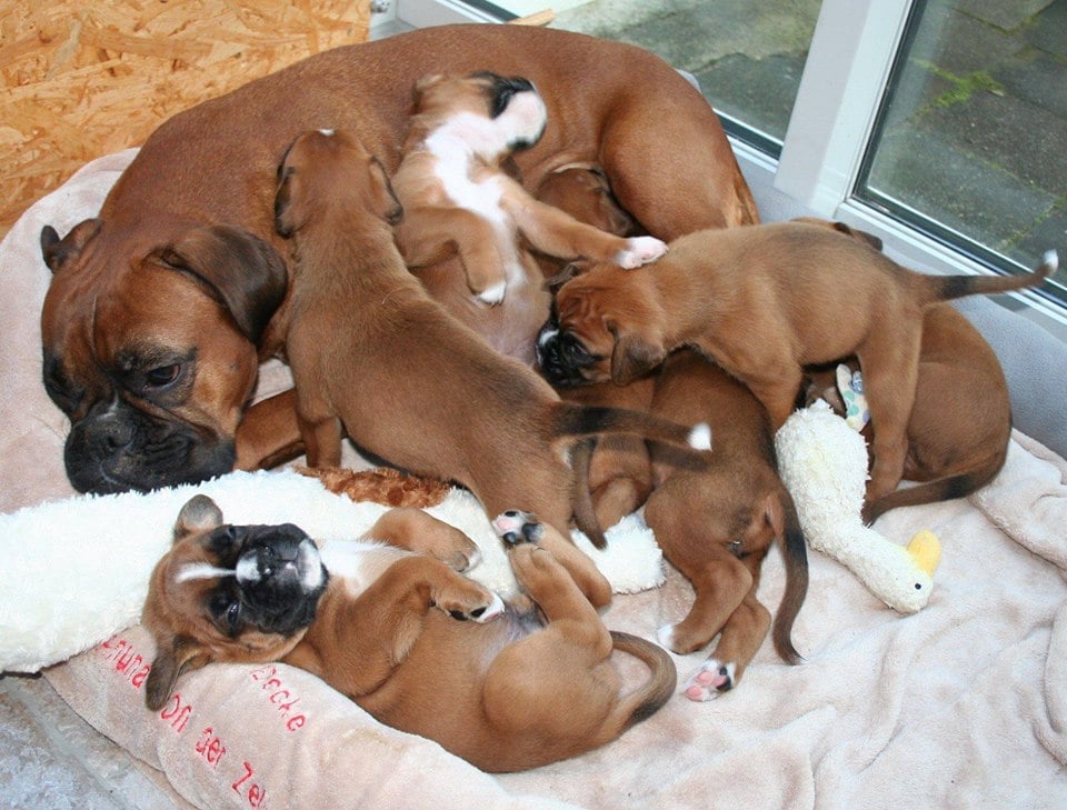 Cordis mit ihren D´s ♥