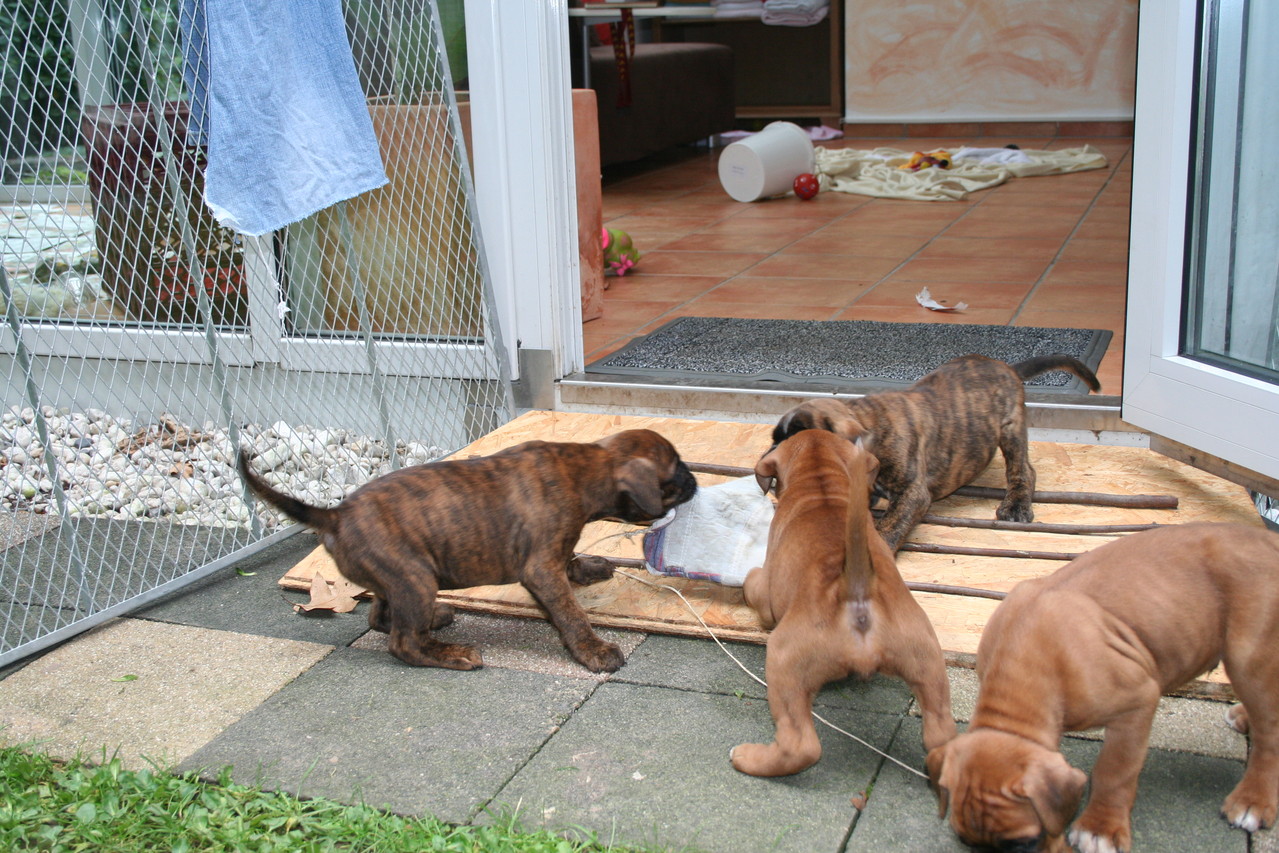 die ersten Kämpfchen